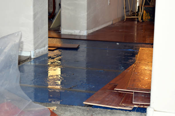 Professional Basement Flood Cleanup technician working in Monroe, OH